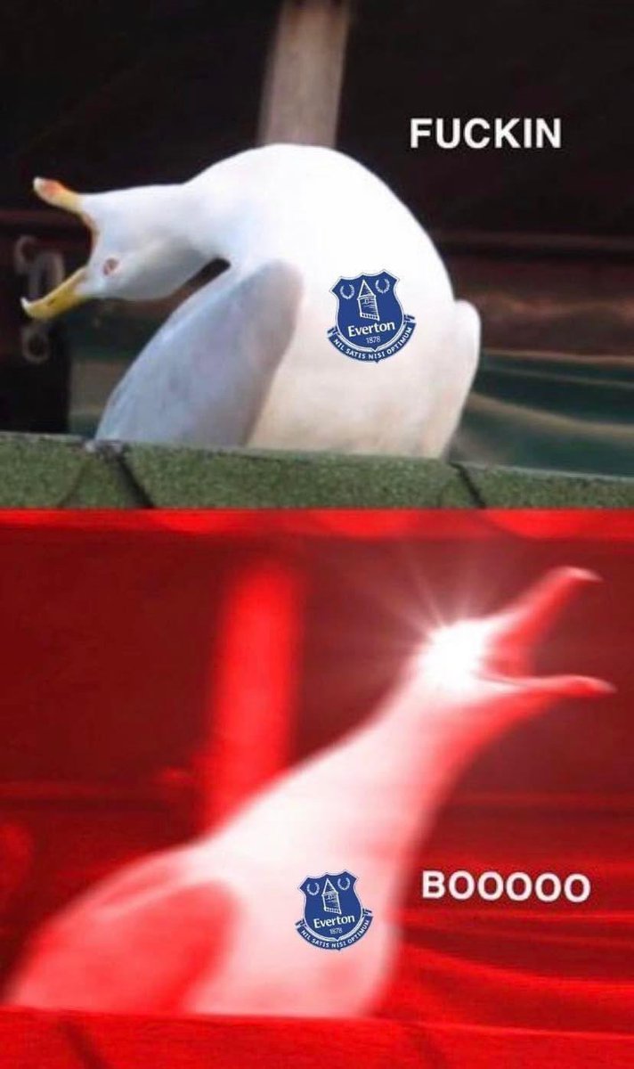 bifferpants's tweet photo. @cjohno1001 @JackieJam1 @Everton https://t.co/ZMgS2BjRgK