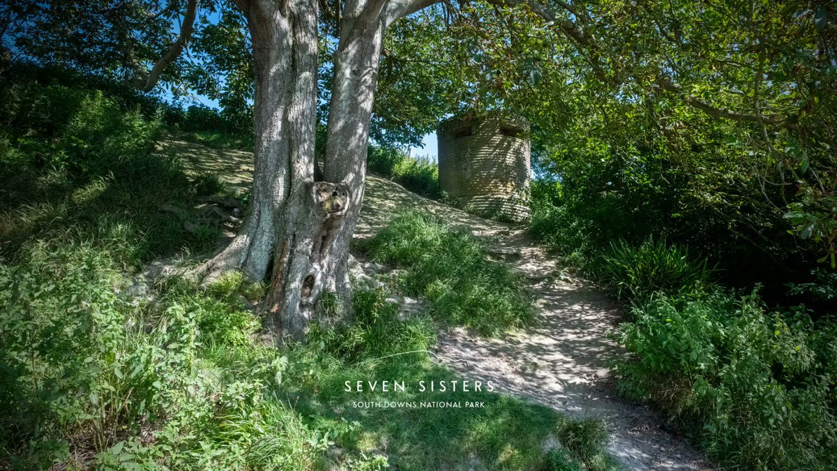 Seven Sisters Country Park tweet media