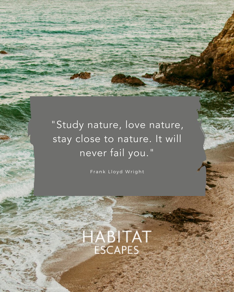 EscapesHabitat's tweet photo. "Study nature, love nature, stay close to nature. It will never fail you." - Frank Lloyd Wright 

#habitatfirstgroup #silverlake #pureadventure #livethewildlife #habitatescapes https://t.co/ikz8oY1BSW