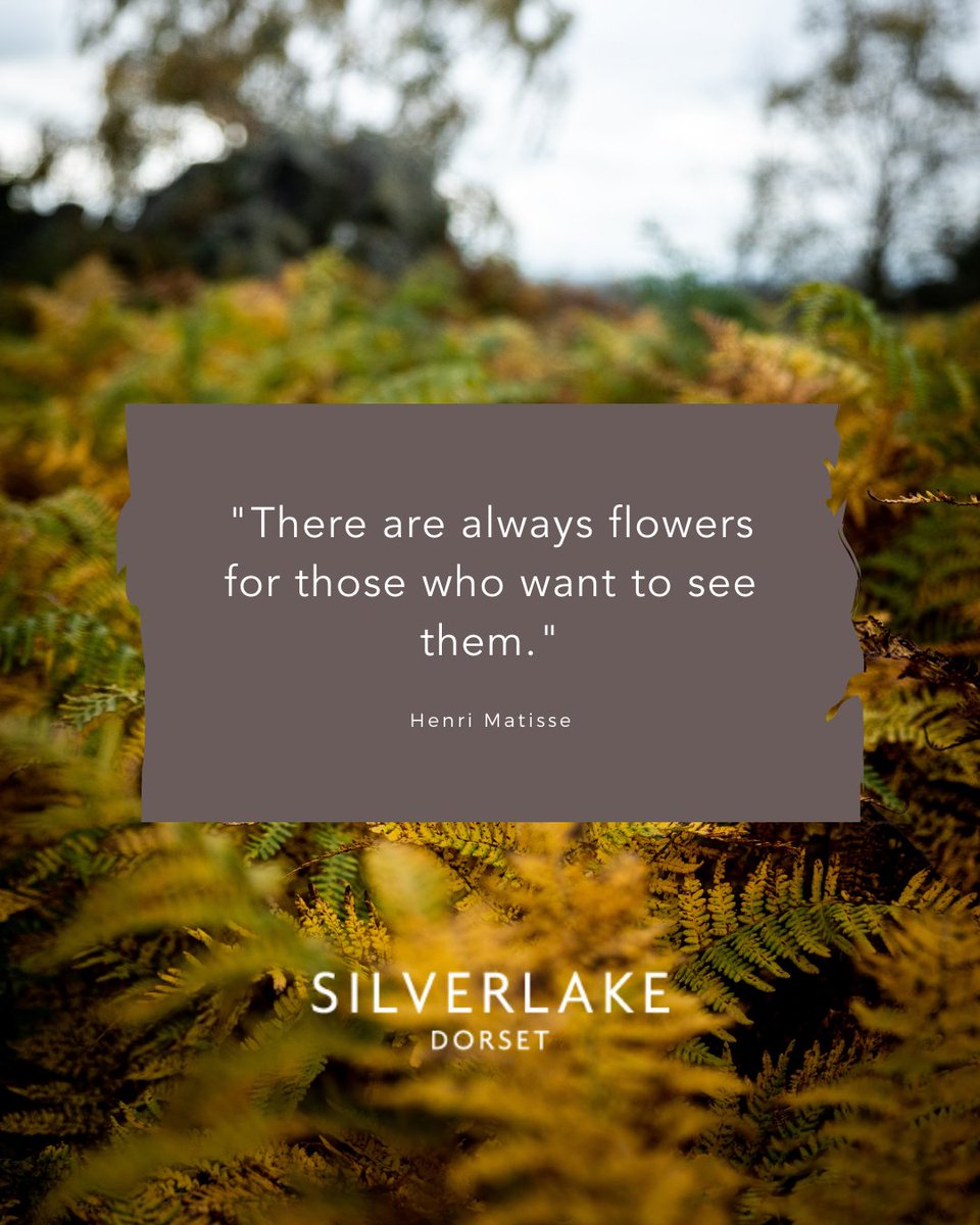 "There are always flowers for those who want to see them." - Henri Matisse  

#habitatfirstgroup #silverlake #silverlakedorset #pureadventure #livethewildlife #habitatescapes