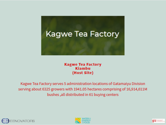 Eenovators's tweet photo. Kagwe Tea Factory was also among the agrifood companies selected for the #ESCO4Efficiency project. The company is located in Kiambu county and deals with tea processing. The attachee on this site was Albert Kibiwott.
@WE4FGCD https://t.co/ogNkNYWiZp