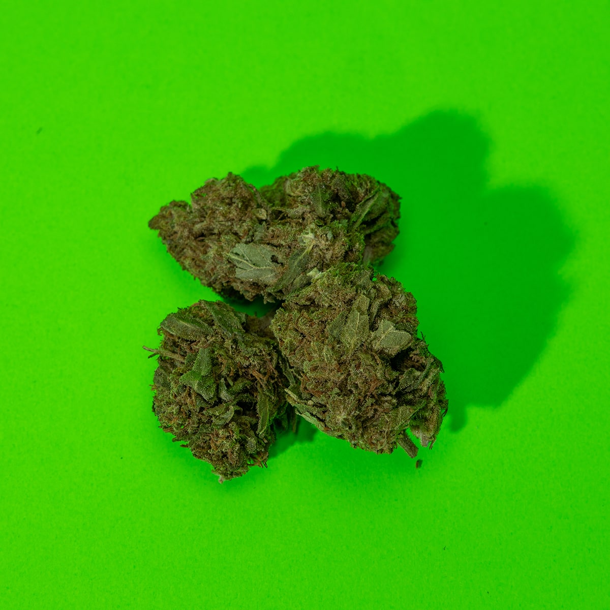 weedlywtf's tweet photo. 𝓐𝓶𝓷𝓮𝓼𝓲𝓪, di Flower Power Milano

Prodotta indoor sapore e gusto intenso di incenso timo e limone. 🍋

Provala subito solo su 🔗 𝓦𝓮𝓮𝓭𝓵𝔂.𝔀𝓽𝓯

#weedly #cannabis #cbd #thc #marketplace #community https://t.co/67XV7CIdRz