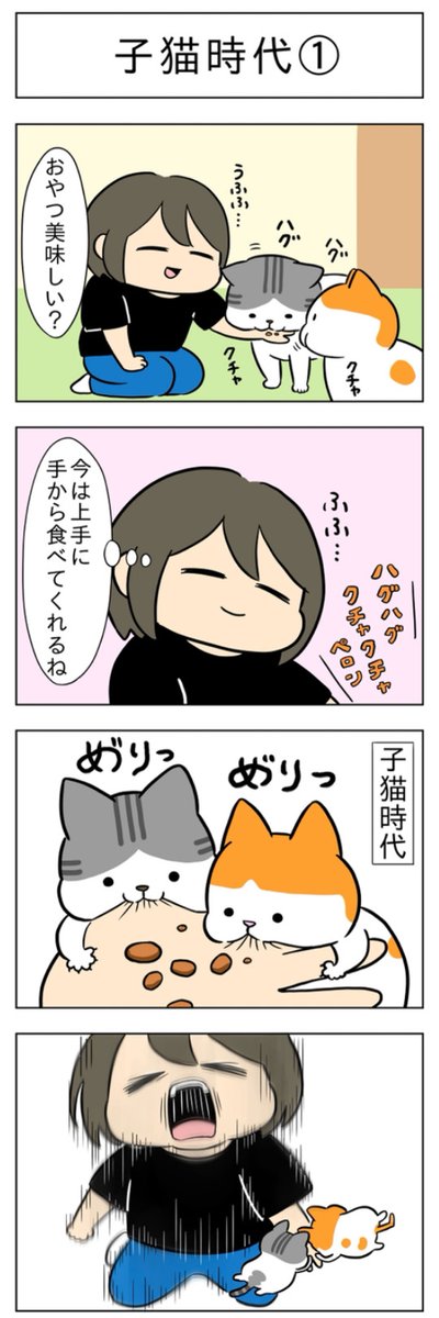子猫時代│フェリシモ猫部 https://t.co/voce0pvjQp 