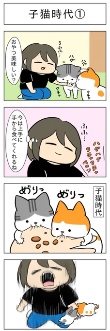 子猫時代│フェリシモ猫部 https://t.co/voce0pvjQp 