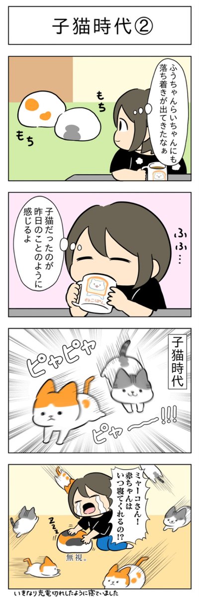 子猫時代│フェリシモ猫部 https://t.co/voce0pvjQp 