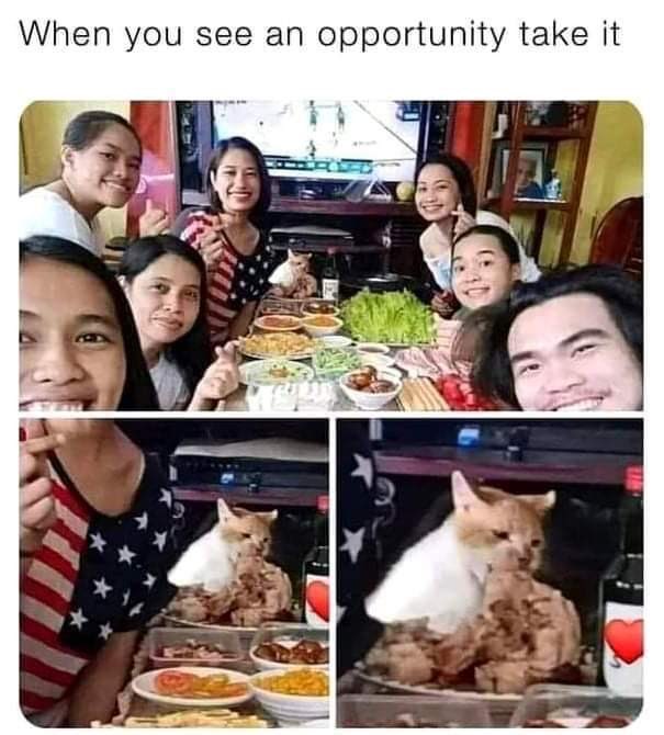 Gildrick1's tweet photo. #donβt miss any opportunity #BuyCatecoin #hodlCatecoin #Catecoin #Catearmy #memecoin #soontomoon #πβ #meow π #Ctto pic https://t.co/z16zLzyImC