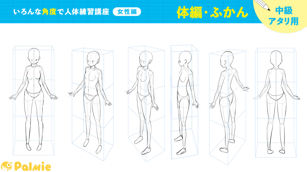 いろんな角度で人体練習講座(女性編)3周目
体編・ふかんが完了しました。前回の方が上手く見えててつらい… #パルミー
←2周目 3周目→ 