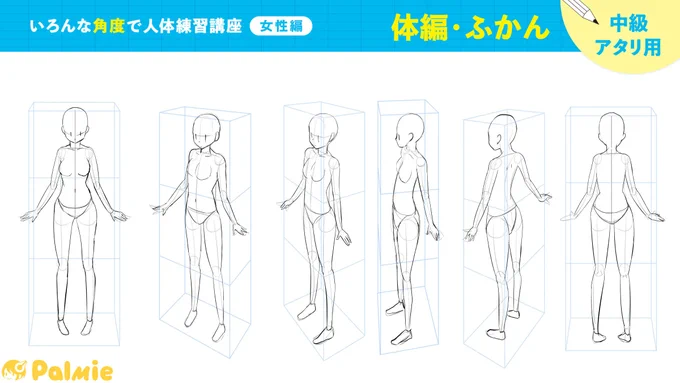 いろんな角度で人体練習講座(女性編)3周目体編・ふかんが完了しました。前回の方が上手く見えててつらい… #パルミー←2周目 3周目→ 