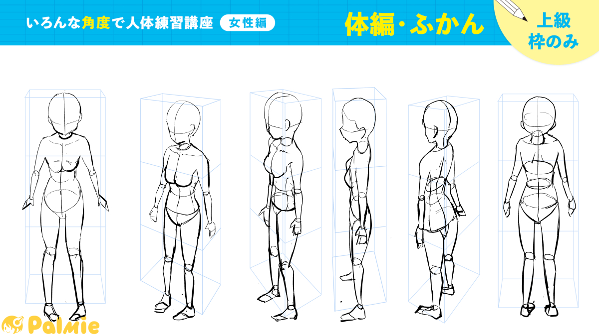いろんな角度で人体練習講座(女性編)3周目
体編・ふかんが完了しました。前回の方が上手く見えててつらい… #パルミー
←2周目 3周目→ 