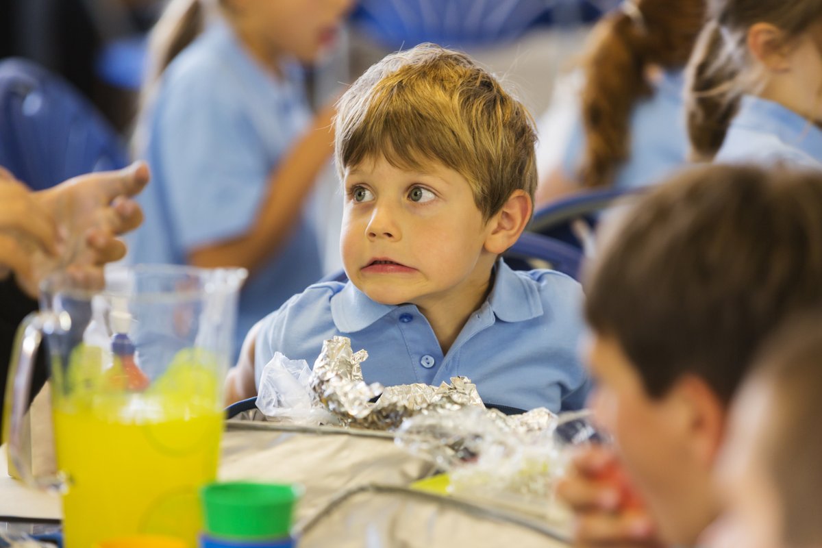 UniMelb Newsroom (@uommedia) on Twitter photo Empathy is vital for social functioning. However, new research demonstrates that children who are particularly empathic are also more anxious #UniMelbPsychiatry #empathy #anxiety <a href="/kbkatebray/">Kate Bray</a> <a href="/SarahLWhittle/">Sarah Whittle</a> @SAND_MNC <a href="/UniMelbMDHS/">UniMelb MDHS</a> <a href="/MNC_Psychiatry/">Melbourne Neuropsychiatry Centre</a>
→ go.unimelb.edu.au/f8gi Empathy is vital for social functioning. However, new research demonstrates that children who are particularly empathic are also more anxious #UniMelbPsychiatry #empathy #anxiety <a href="/kbkatebray/">Kate Bray</a> <a href="/SarahLWhittle/">Sarah Whittle</a> @SAND_MNC <a href="/UniMelbMDHS/">UniMelb MDHS</a> <a href="/MNC_Psychiatry/">Melbourne Neuropsychiatry Centre</a>
→ go.unimelb.edu.au/f8gi