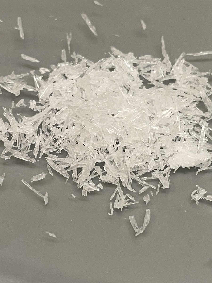 Ryan Ringo tweet media