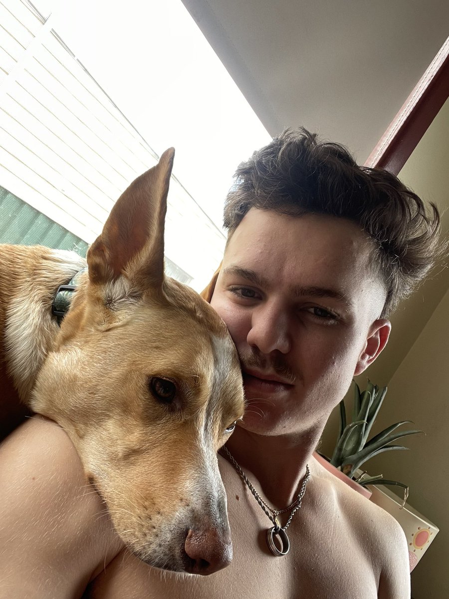 Proovz's tweet photo. Me and Arlo cruising for a bruising https://t.co/wyjrcHH2iE
