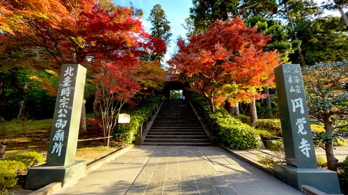 鎌倉の円覚寺に来ました 
