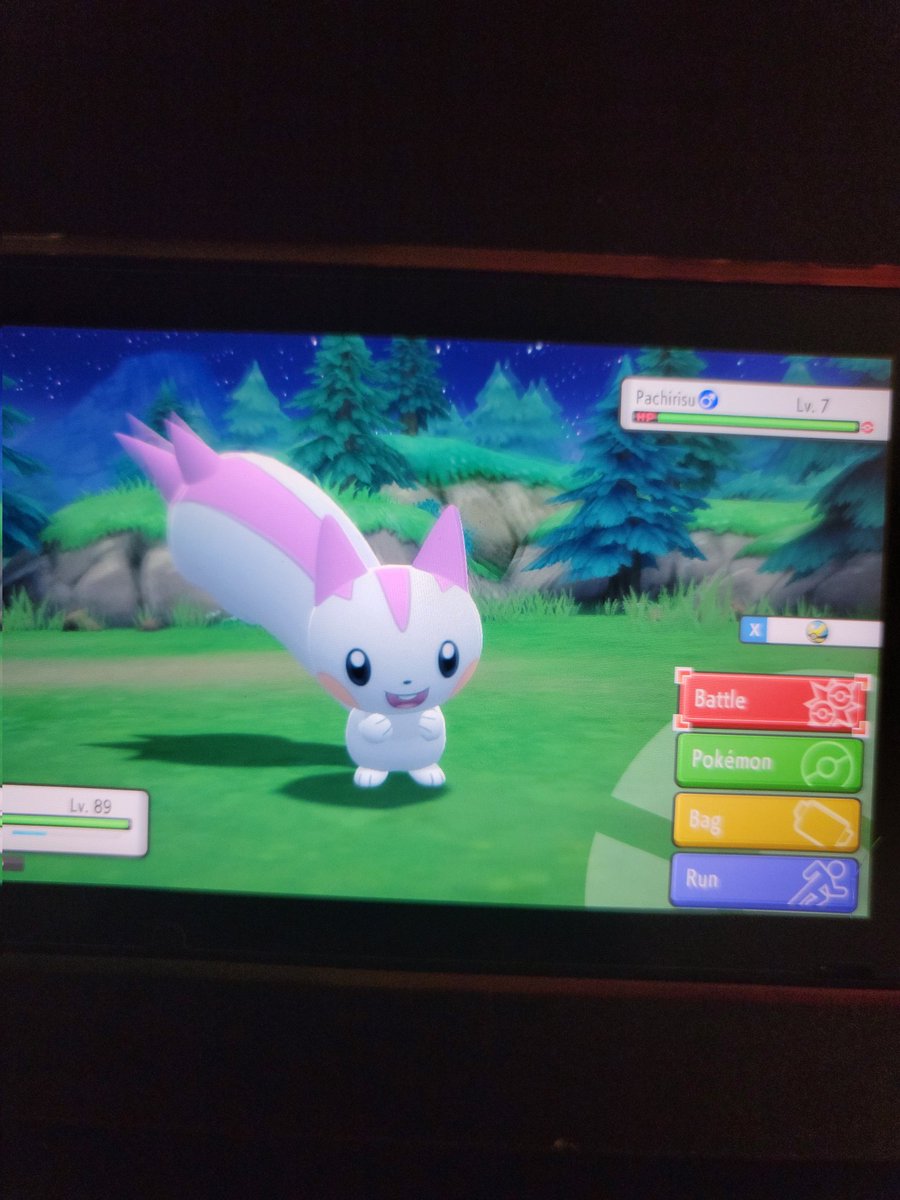 H_Houndoom91's tweet photo. GOT MY SHINY BOY TODAY IM SO HAPPY HES SOOOOOOO CUTE!!!!!! https://t.co/Yfx962KAZH