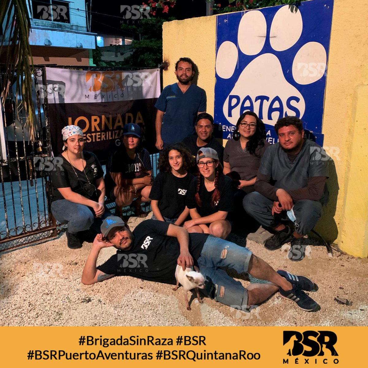 Brigada Sin Raza tweet media