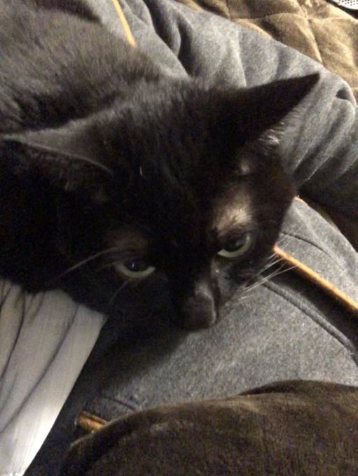 喉元にケツを押し付けられて起こされた(笑) せめて顔向けてくれ 