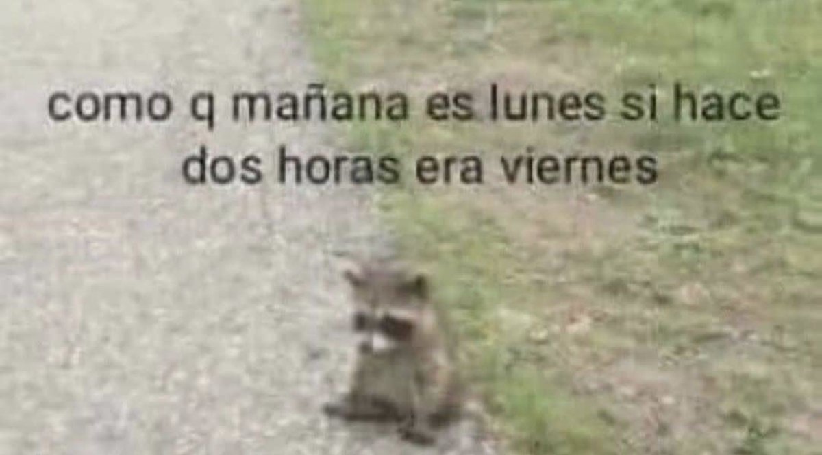 Guarromantico_'s tweet photo. https://t.co/J7fldKOrSQ