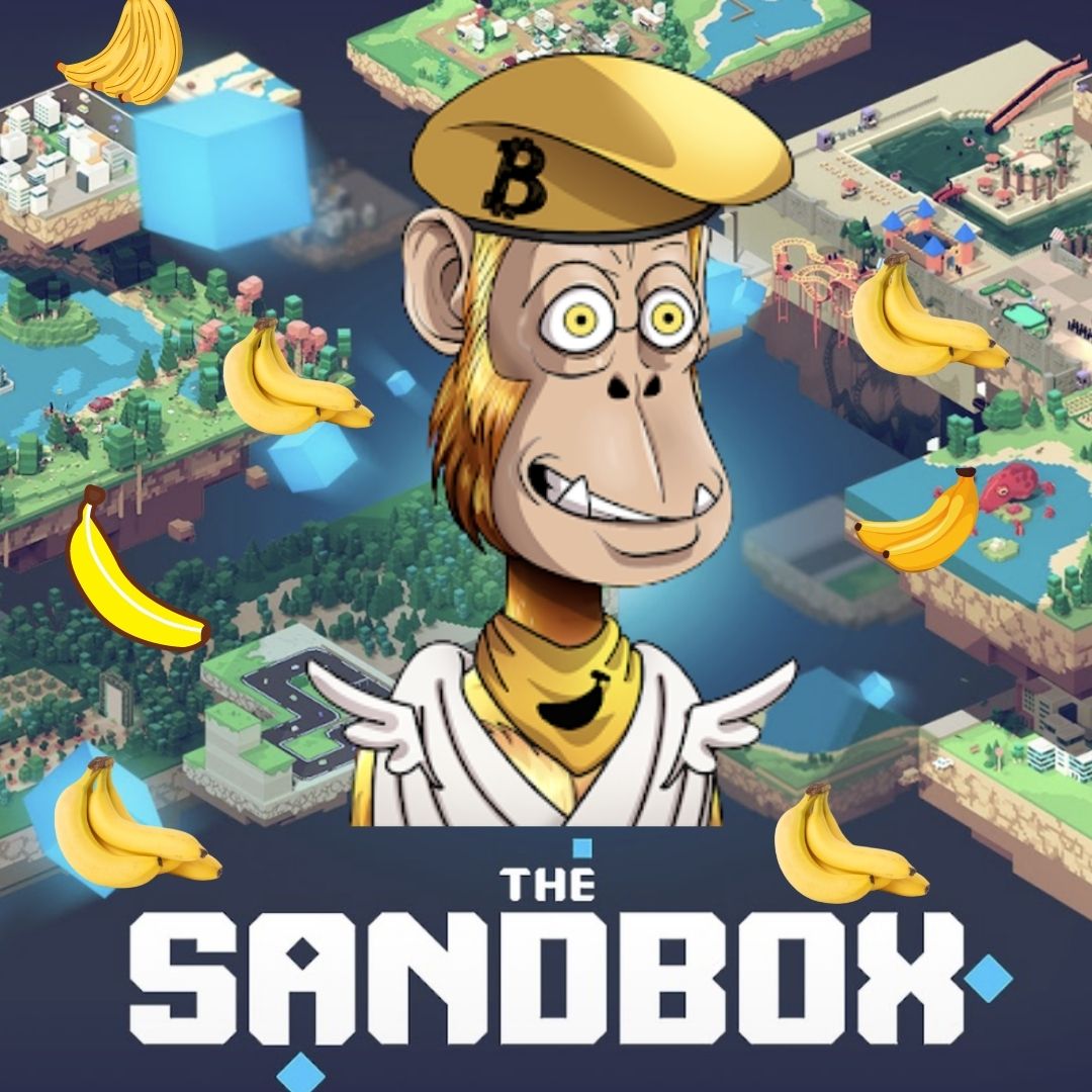 Ape Alliance 977 - (ex Klay Ape Club) Since2021 tweet media