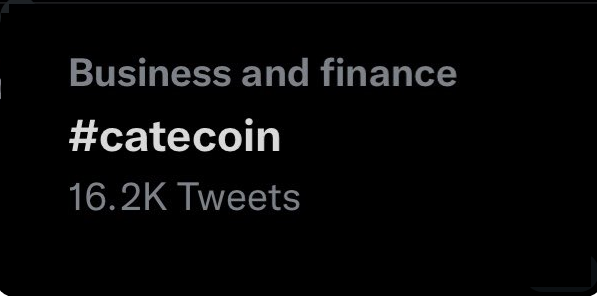 catecoin's tweet photo. CATECOIN is trending globally!!!⚡️🚀

We are a small project (relative to our rivals $doge / $shib ) but with consistently HUGE levels of search interest and social engagement!👀🐱

These are BIG indicators of future success!!!💪🔥

#catecoin #special #crypto https://t.co/lB68d8ZXdl