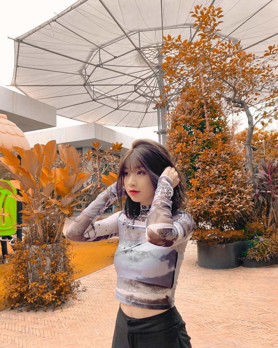 thimaunek's tweet photo. Mùa thu đã qua và mua đông lại đến https://t.co/rX1mUuu9XU