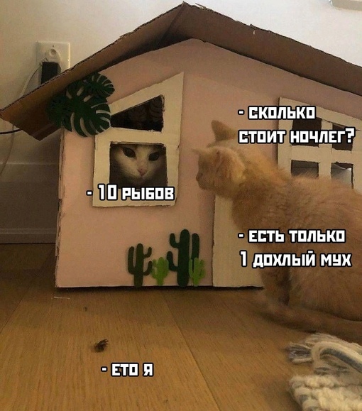 DerArto's tweet photo. Начнём неделю с прекрасного https://t.co/zvhMVEoQjz