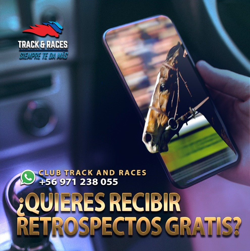 track_races's tweet photo. Suscríbete a través de nuestro whatsapp +56 971 238 055 y mantente informado de forma gratuita 🏇🏇
#trackandraces #clubtrackandraces #apuestas #deportes #hipismo https://t.co/4o1nKvLFQw