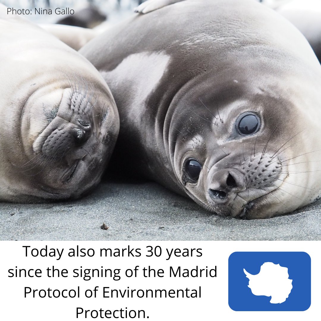 APECSOceania's tweet photo. Today also marks 30 years since the signing of the #MadridProtocol for Environmental Protection in #Antarctica.
#AntarcticaDay
Photo: @NinaBGallo https://t.co/ZdboxdHega