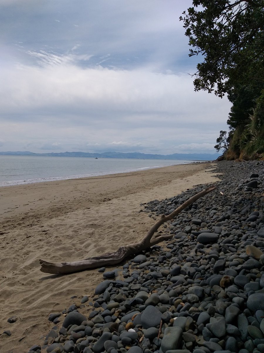 Lisa_Zate's tweet image. 🐷いこまいかい運動部🌸🌼
✅スクワット 20回
✅腕立て10回
✅腹筋40回往復
さあ、今日から新しい週だ‼️
#ダイエット倶楽部 #老化防止 #exerciselover #水2L