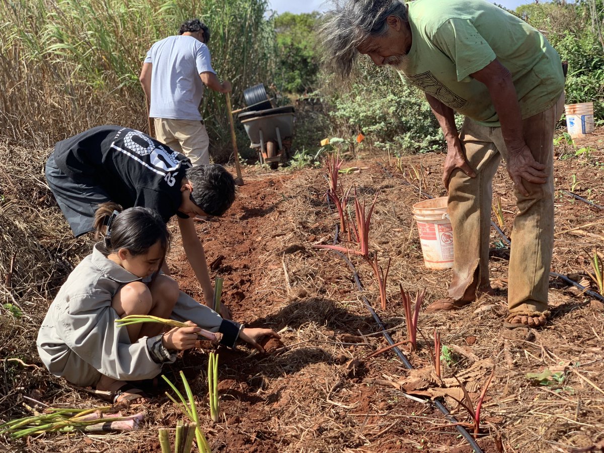 Brynn Alcain (@8_brynn) on Twitter photo 