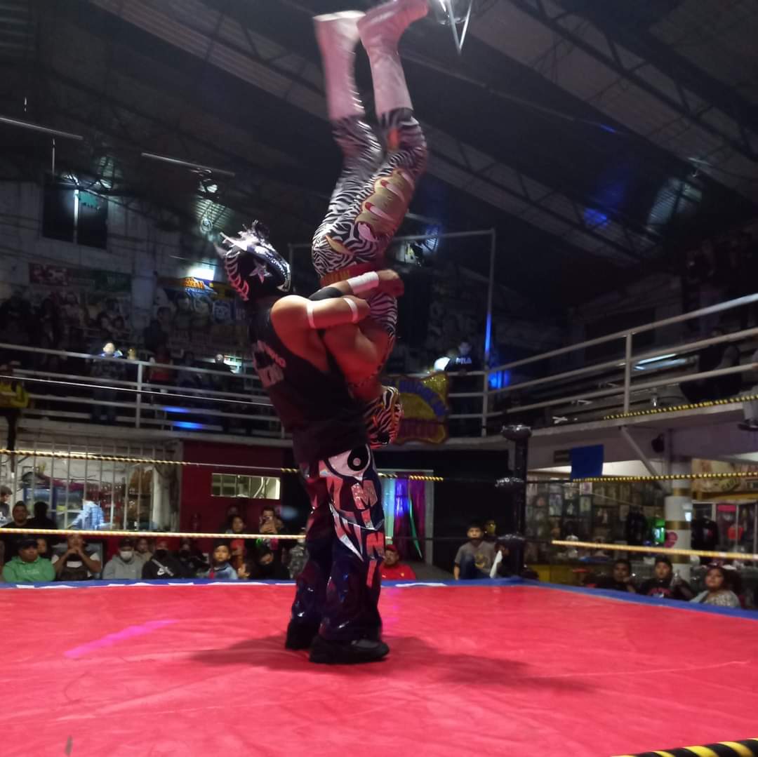 LaTijeraLucha's tweet photo. En dura contienda, la tercia técnica conformada por #LadySensacion, #OrientalJr y #MiniOriental se impone a #HijaDelVikingo, #ImperioNegro y #MiniPuma haciendo explotar
al público que se dio cita para festejar 60 años de historia de la #ArenaAztecaBudokan...
#latijeraluchalibre https://t.co/xVaIJU8gW9