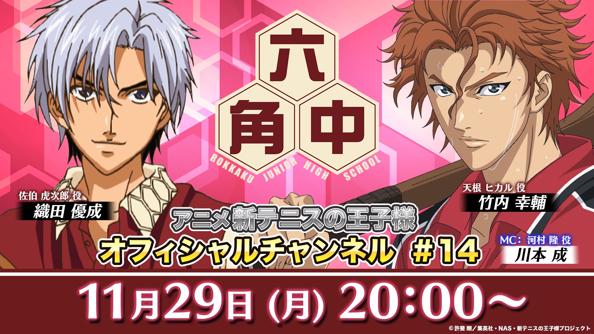 テニスの王子様 六角中 佐伯虎次郎 天根ヒカル など 11点セット 新