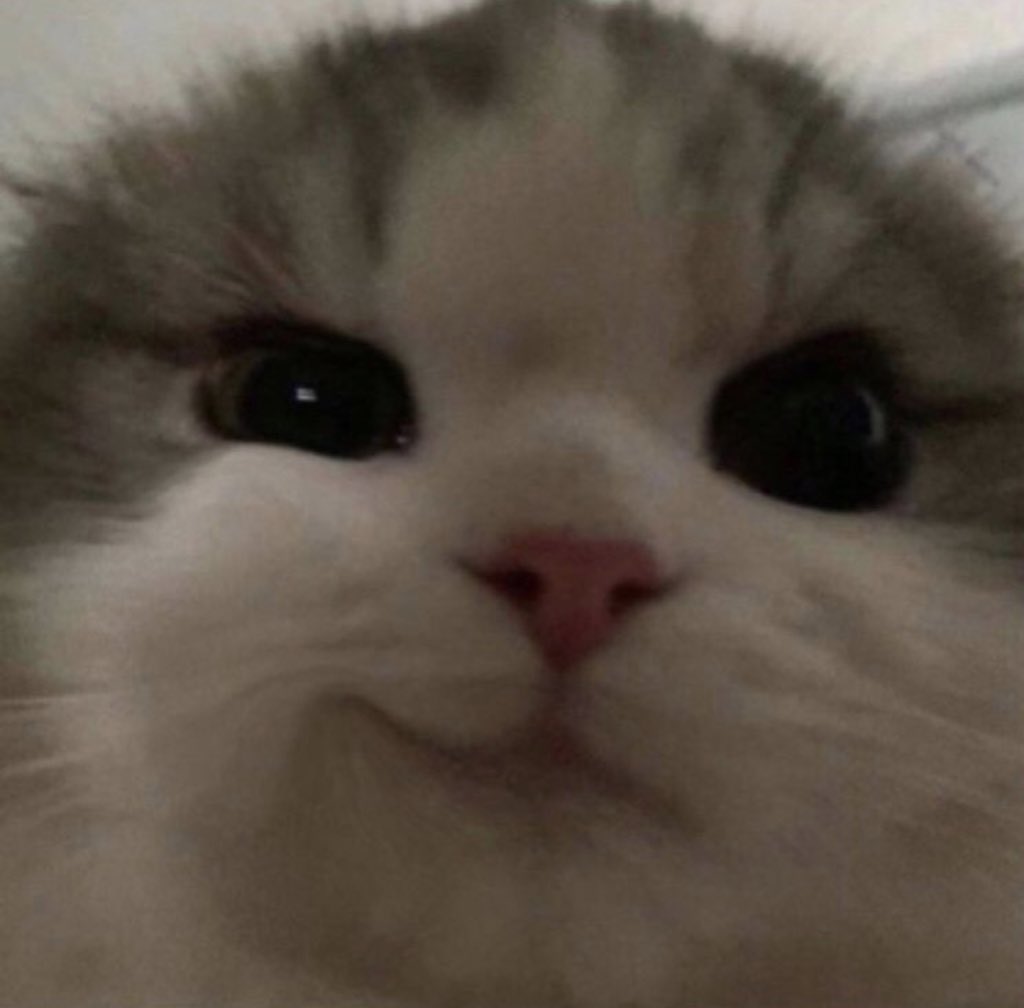 / ok hi it feels good to be back babey 🥴