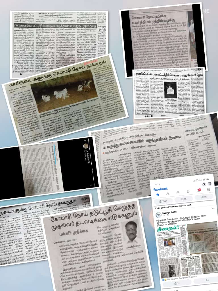 drvasiA1vet's tweet photo. கால் வாய் நோயால் வாடும் கால்நடைகள் @ARROffice @CMOTamilnadu @Udhaystalin @KanimozhiDMK https://t.co/IWKPixT5bp
