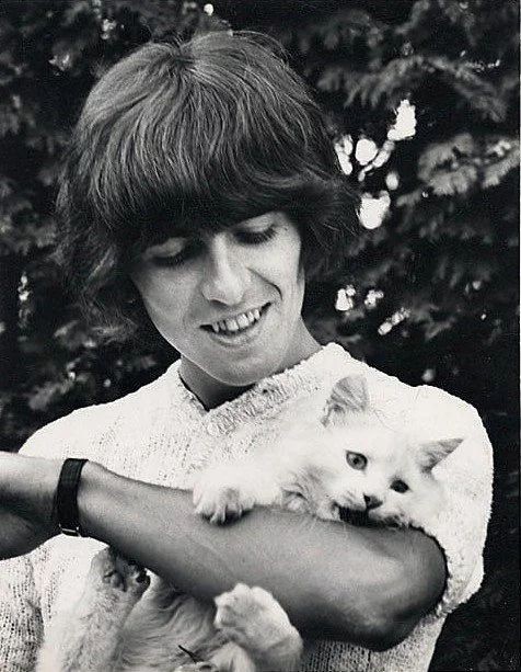 flowersmacca70s's tweet photo. I love you george , forever and ever💜 https://t.co/lblW5quRZe