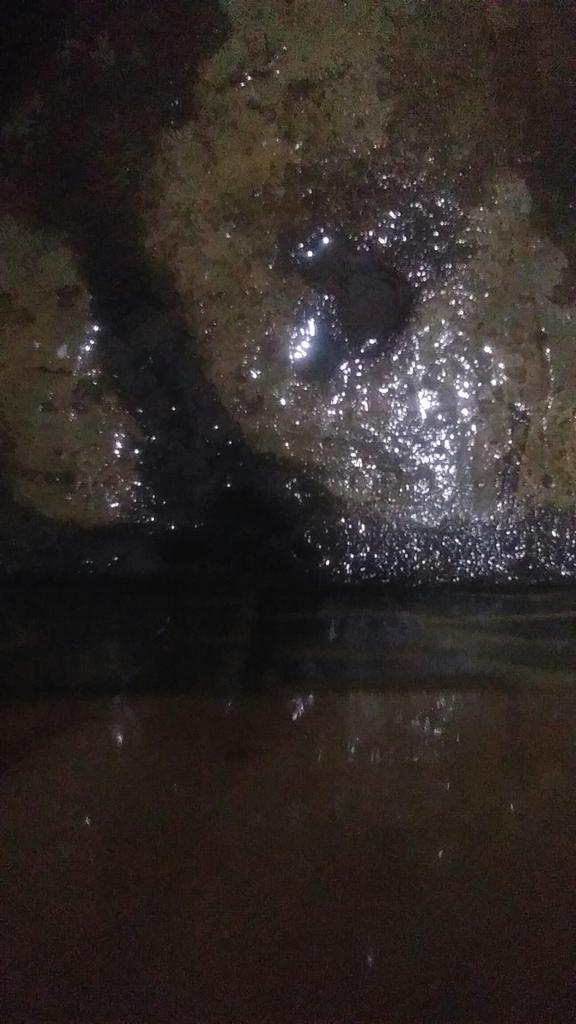 DudaDandi's tweet photo. Ad yg u uncut gk
Plju plmbngg https://t.co/5Ed8b6AuEg