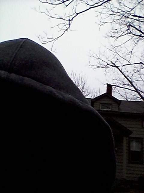 Raven 59 Exitus * Acta * Probat. tweet media