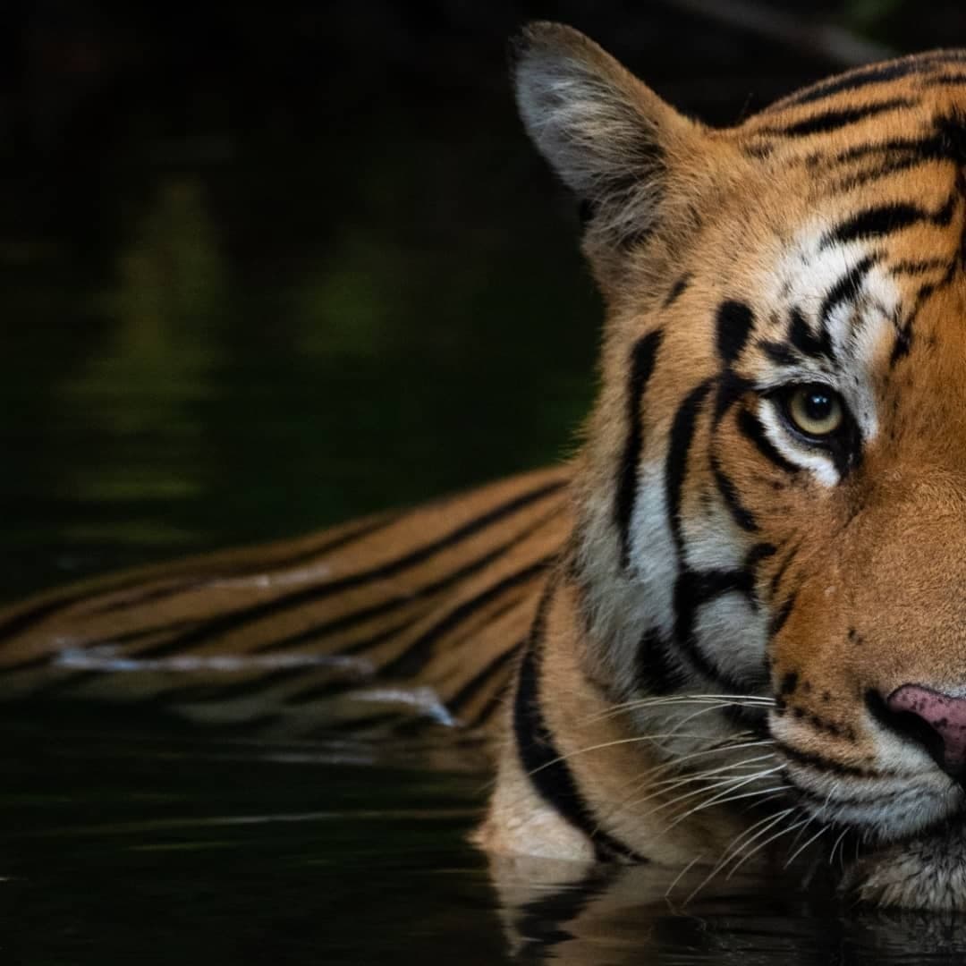 Madhya Pradesh Tourism tweet media