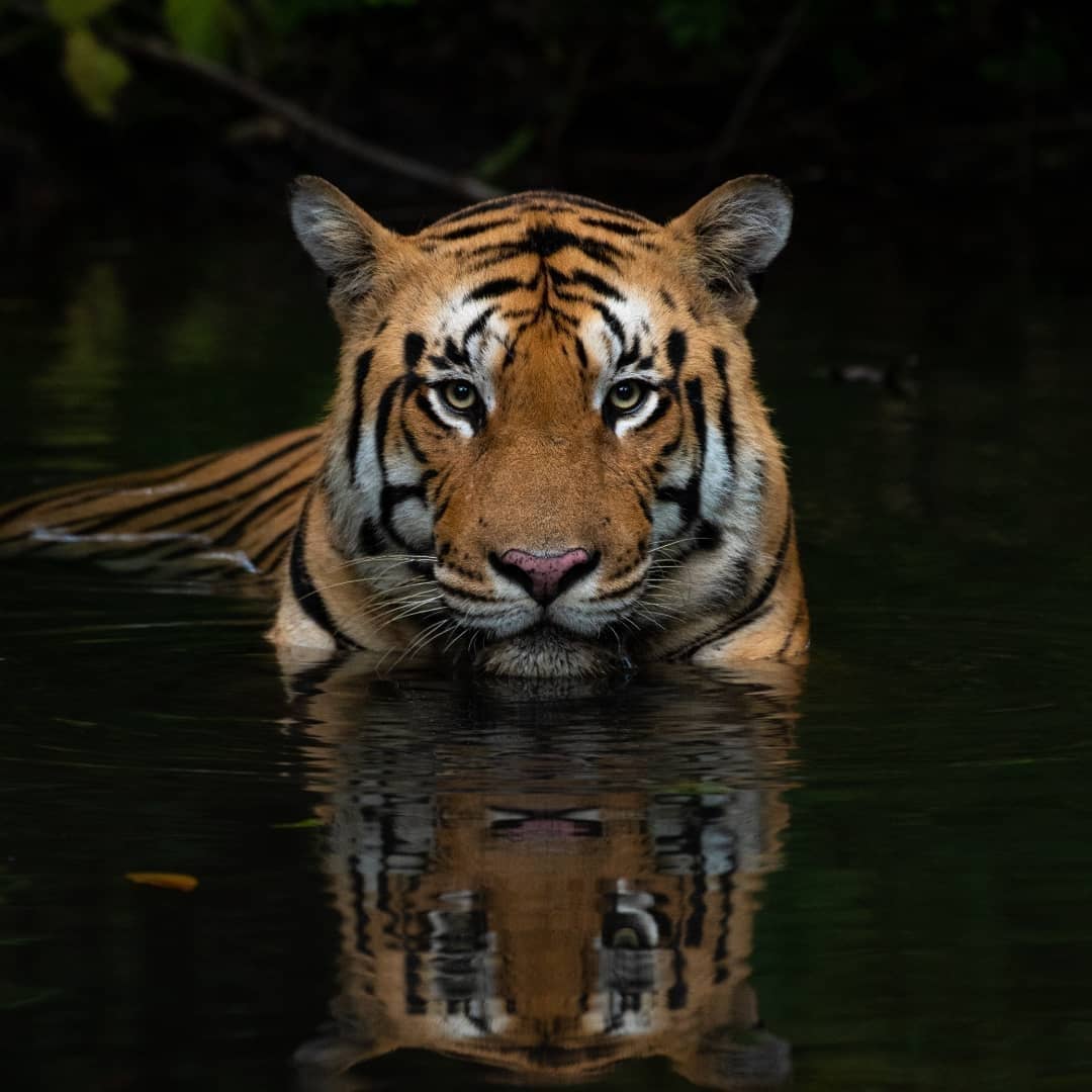 Madhya Pradesh Tourism tweet media