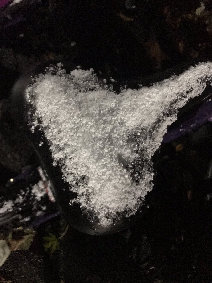 4h06. Matinale. J’ai dû gratter.