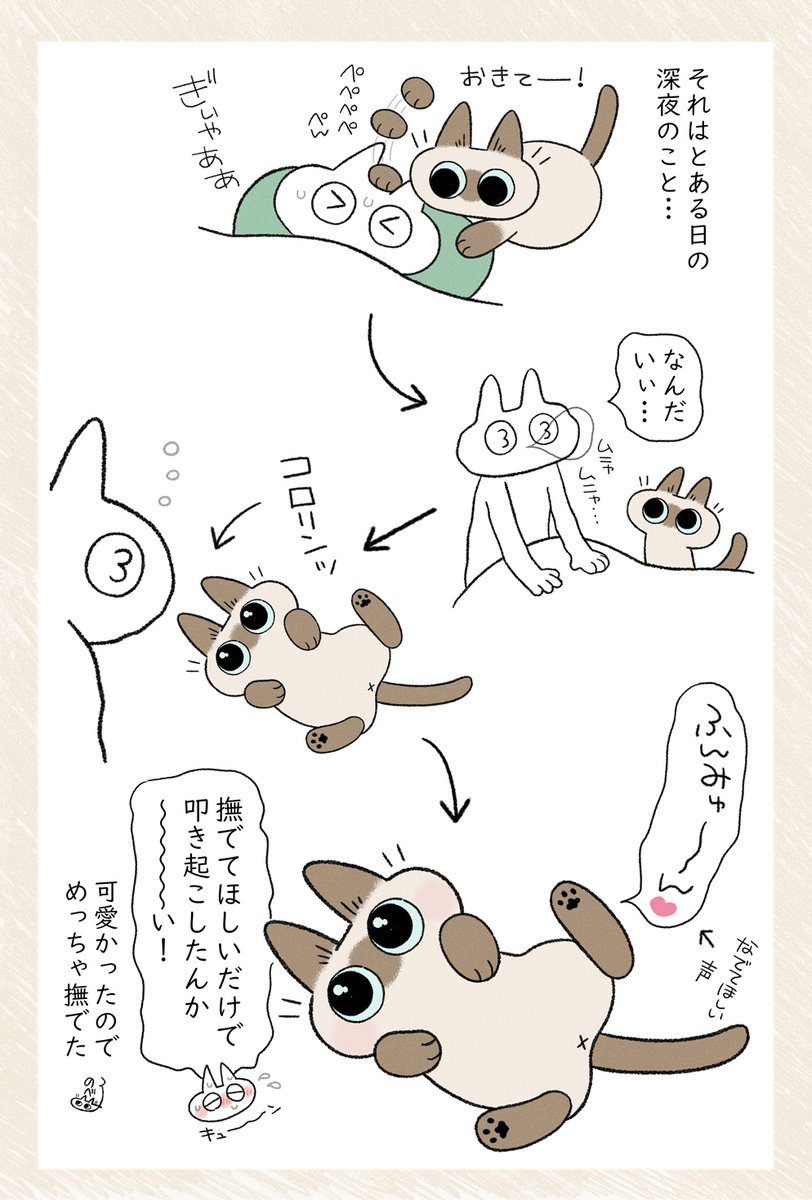 ウオーッでもかわいいから許す #シャム猫あずきさんは世界の中心 