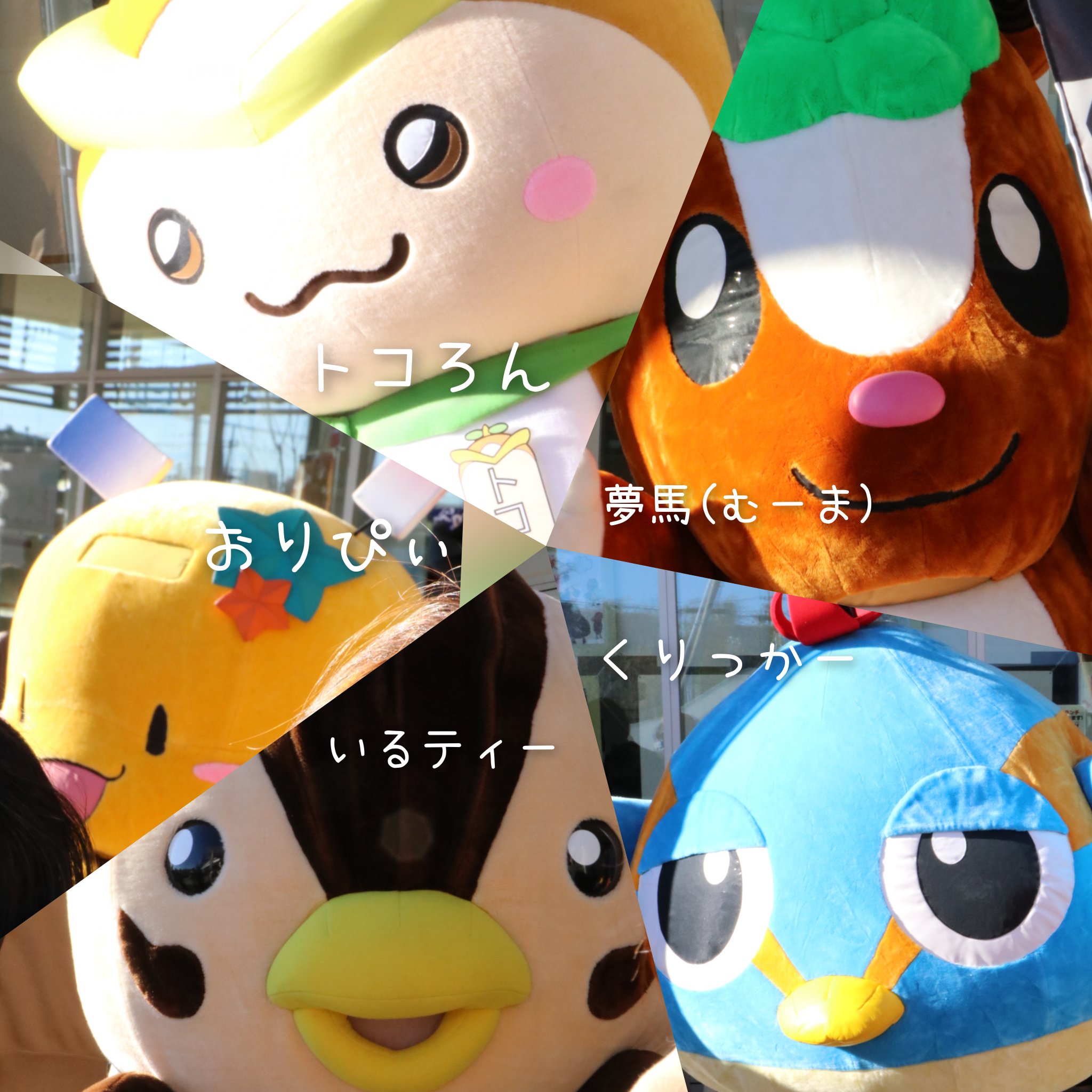 しまちい ゴリカバ推し No Twitter ゆるキャラ5人衆 人ではない トコろん 所沢市 おりぴぃ 狭山市 いるティー 入間 市 くりっかー 日高市 夢馬 むーま 飯能市 埼玉のゆるキャラ T Co Im1hinscxf Twitter