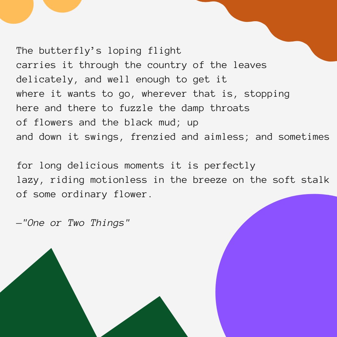 sphereou's tweet photo. "The god of dirt
came up to me many times and said
so many wise and delectable things, I lay
on the grass listening"

check out this nice poem! excerpt  from  Mary Oliver's "One or Two Things"
https://t.co/rh9xMisFQ6 https://t.co/IxIbljLk6m