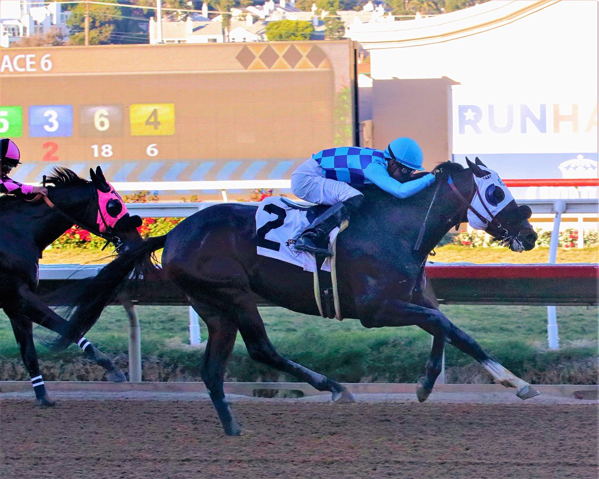 Jockey_diego.herrera (@JockeyHerrera) | Twitter