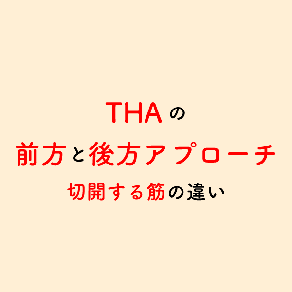 riha_note's tweet photo. THA術後のリハで着目すべき筋肉💡

これらの筋肉が切開されることが、術後疼痛や可動域制限の原因の1つとなります。
術式によっても変わるため、リハビリ担当者は主治医の確認も必ず取りましょう。 https://t.co/zSCCqDwMI1