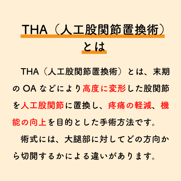 riha_note's tweet photo. THA術後のリハで着目すべき筋肉💡

これらの筋肉が切開されることが、術後疼痛や可動域制限の原因の1つとなります。
術式によっても変わるため、リハビリ担当者は主治医の確認も必ず取りましょう。 https://t.co/zSCCqDwMI1