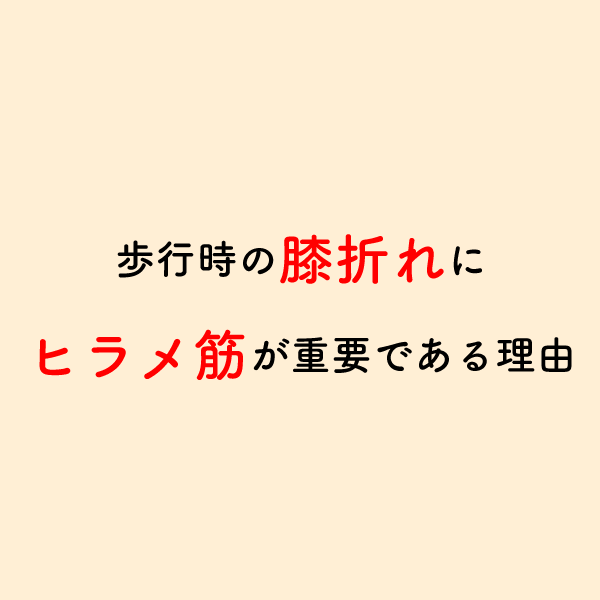 riha_note's tweet photo. 膝折れ症状はヒラメ筋に着目することが重要である理由💡

歩行時の膝折れ症状は臨床でも頻発しますが、膝関節だけが原因ではありません。
股関節、足関節にも着目しより効果的なアプローチを選択しましょう。 https://t.co/7DA7qVon6O