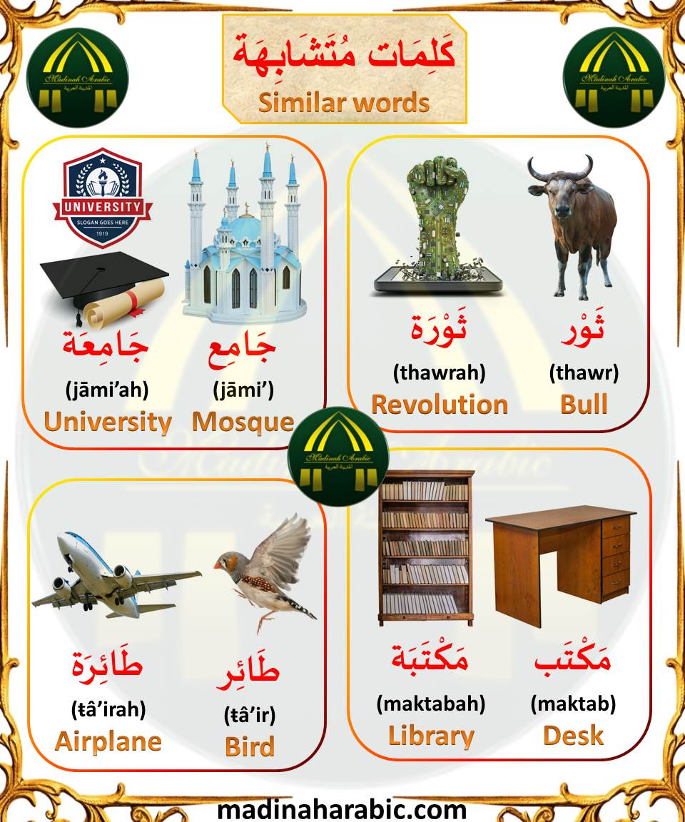 Madinah Arabic On Twitter Ù Ù Ù Ø§Øª Ù Øª Ø´ Ø§Ø¨ Ù Ø© Similar Words For More Arabic English Vocabulary Click On The Link Https T Co Keh8j3amwz Enjoy Learning With One Of Our Professional Male And Female Native Arabic Tutors Free