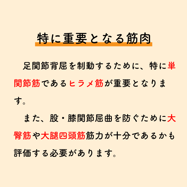 riha_note's tweet photo. 膝折れ症状はヒラメ筋に着目することが重要である理由💡

歩行時の膝折れ症状は臨床でも頻発しますが、膝関節だけが原因ではありません。
股関節、足関節にも着目しより効果的なアプローチを選択しましょう。 https://t.co/7DA7qVon6O