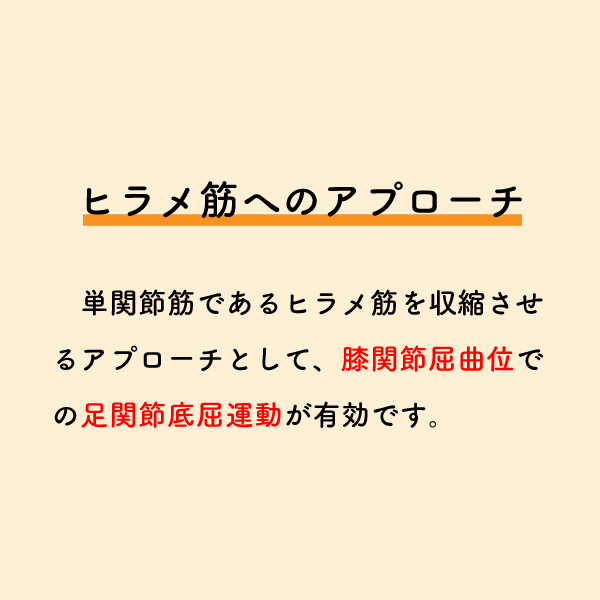 riha_note's tweet photo. 膝折れ症状はヒラメ筋に着目することが重要である理由💡

歩行時の膝折れ症状は臨床でも頻発しますが、膝関節だけが原因ではありません。
股関節、足関節にも着目しより効果的なアプローチを選択しましょう。 https://t.co/7DA7qVon6O
