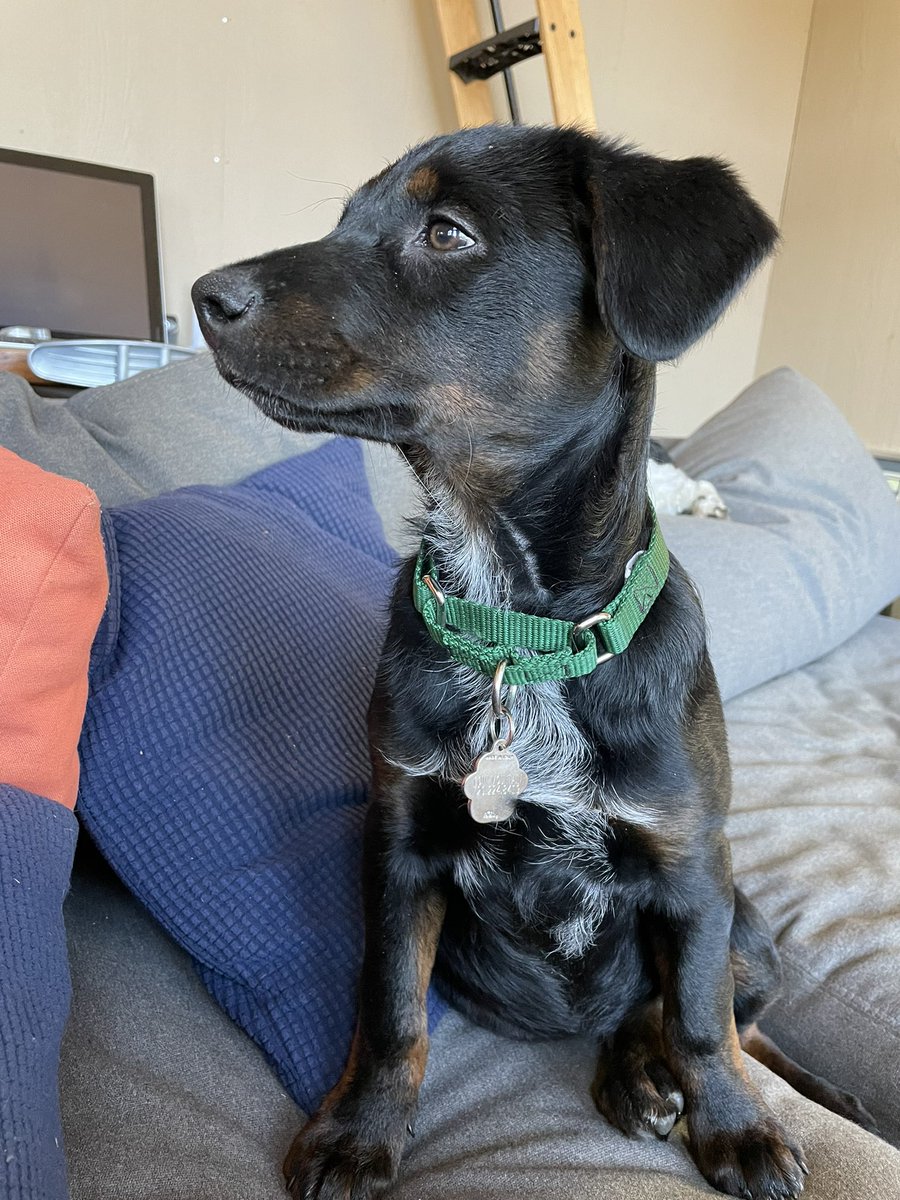 Michelle Hektor tweet media